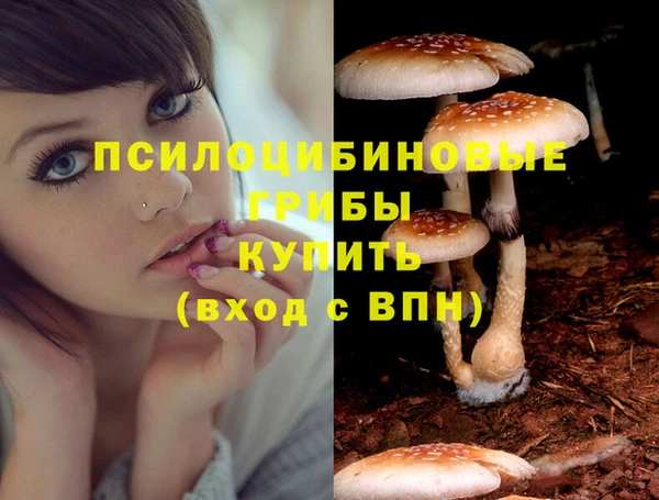 экстази Новозыбков